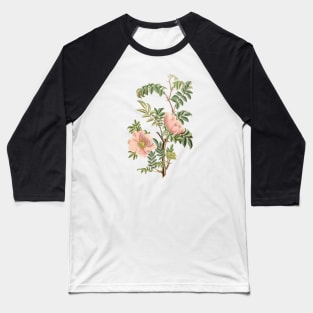 Wild Rose Flower Vintage Botanical Illustration Baseball T-Shirt